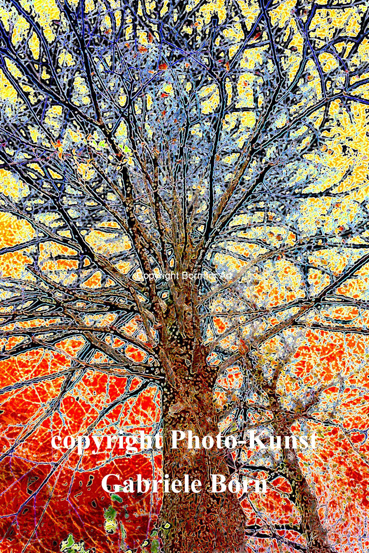 1 - D - c -Baum auf Batik DSC04913 so bunt24-15-10 kanbe6-40-10 sä24 Fa-6 tonw tont4