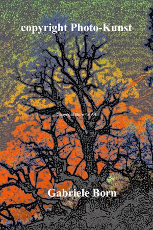 Ausdrucksstarke Natur