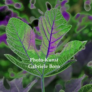 scho wieder a Bladl - schon wieder ein Blatt Serie II