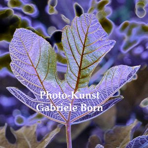 a Bladl - ein Blatt Serie II