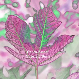 no a Bladl - noch ein Blatt Serie I